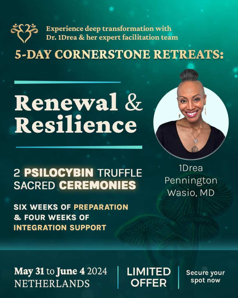 afbeelding retraite Andrea