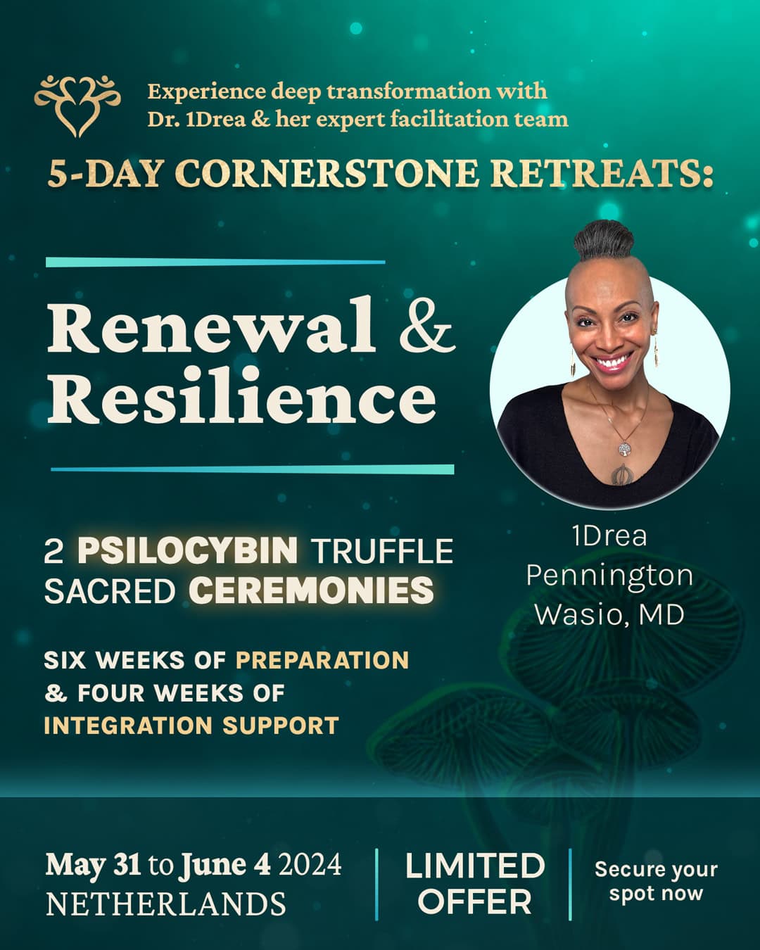 afbeelding retraite Andrea