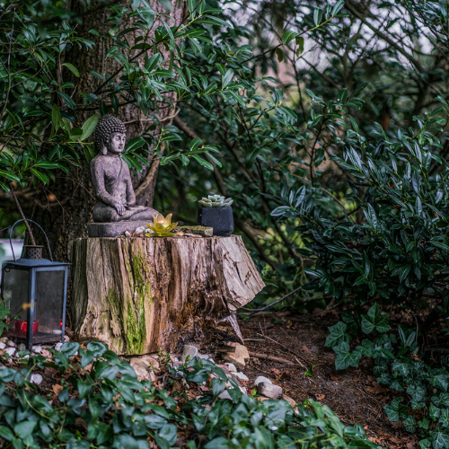 tuin zonnehuis loenen