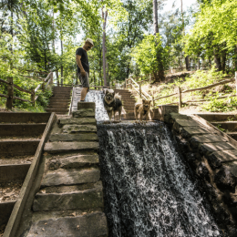 retraitecentrum gelderland veluwe